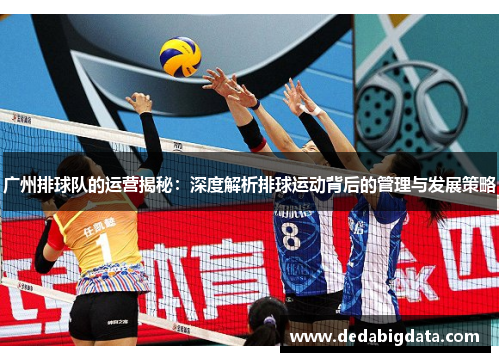 广州排球队的运营揭秘：深度解析排球运动背后的管理与发展策略