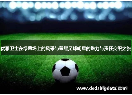 优雅卫士在绿茵场上的风采与荣耀足球明星的魅力与责任交织之旅